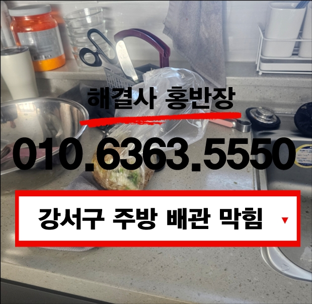 신호동 · 아파트 불어버린 묵은 쌀이 막은 신호동 아파트 주방 하수구